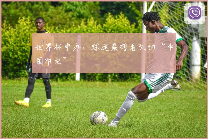 世界杯申办,球迷最想看到的“中国印记”