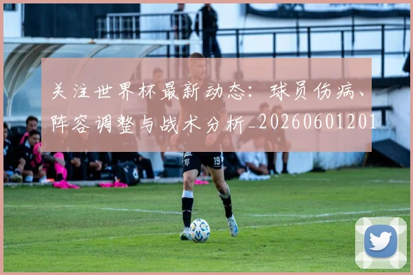 关注世界杯最新动态：球员伤病、阵容调整与战术分析_20260601201548